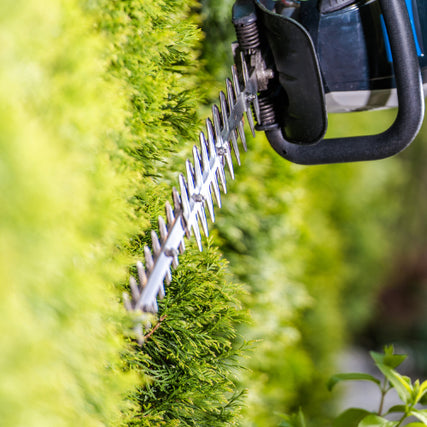 Landscaping RentalsClose-up of an electric hedge trimmer cutting a lush, bright green hedge. The sharp blades are visible, with a focus on precision and neatness.