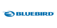 Bluebird